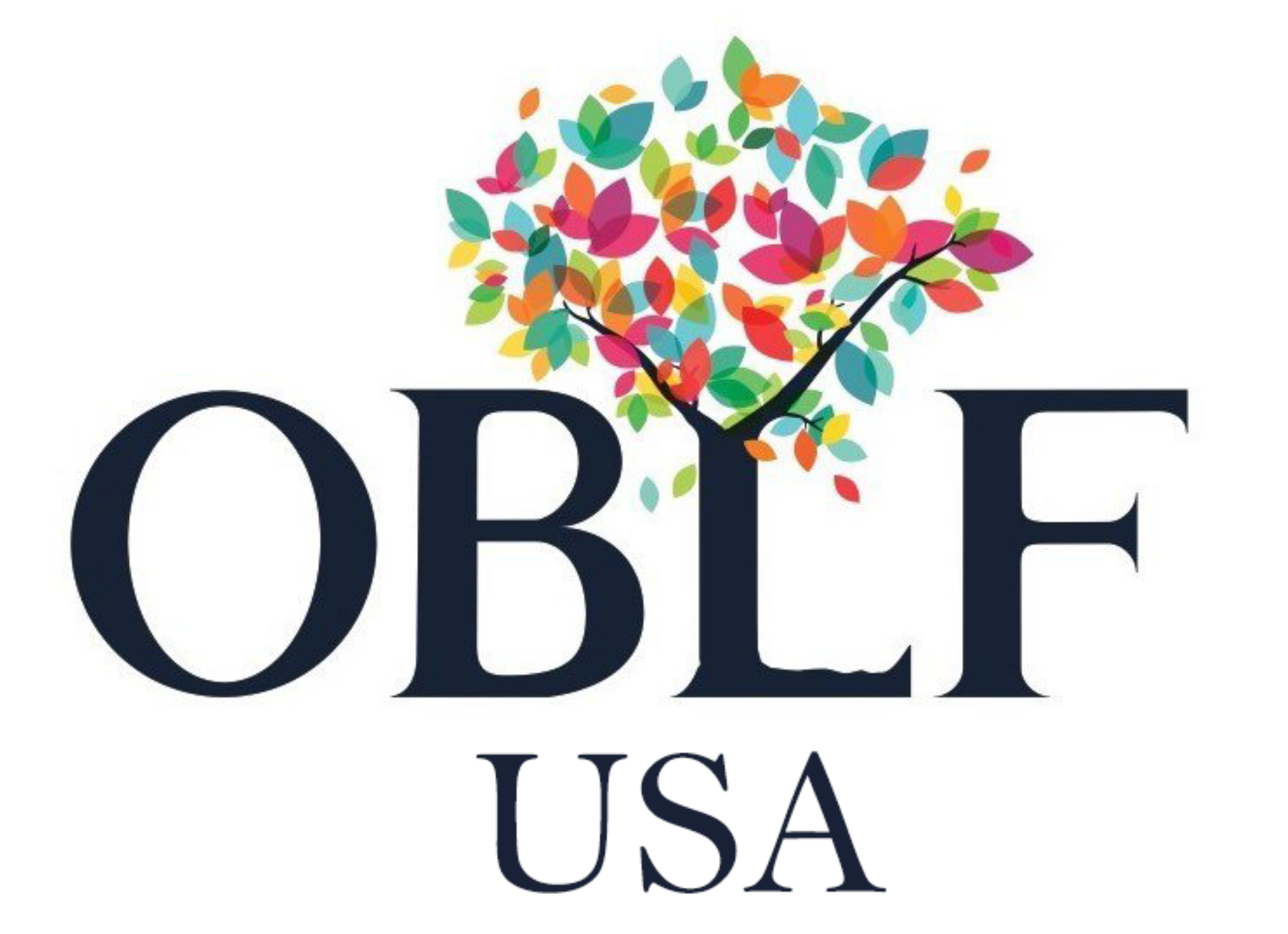 One Billion Literates Foundation, USA